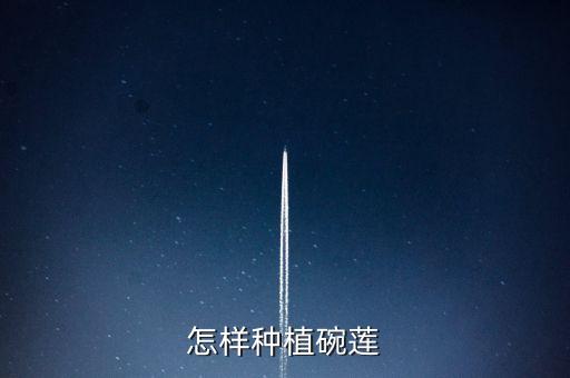 怎样种植碗莲