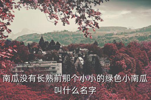 绿南瓜，吃绿南瓜有什么好处