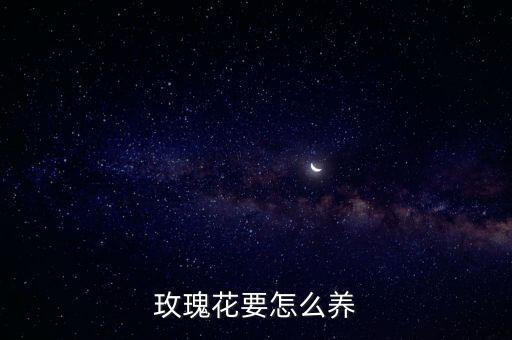 玫瑰花要怎么养