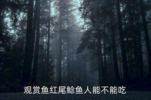 观赏鱼红尾鲶鱼人能不能吃
