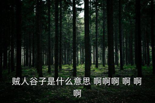 谷子是什么意思，贼人谷子是什么意思 啊啊啊 啊 啊啊