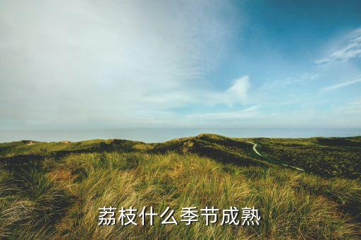 荔枝什么时候上市，荔枝几月份上市