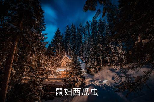 鼠妇西瓜虫