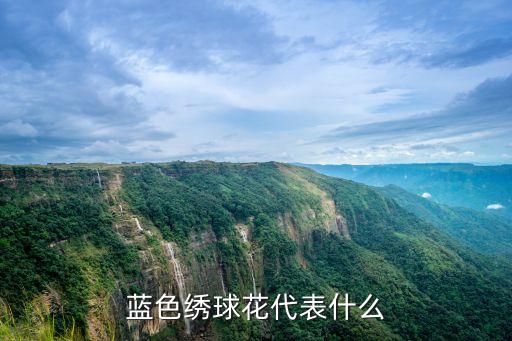 蓝色绣球花代表什么