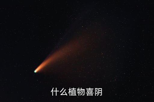 喜阴的植物，什么植物喜阴