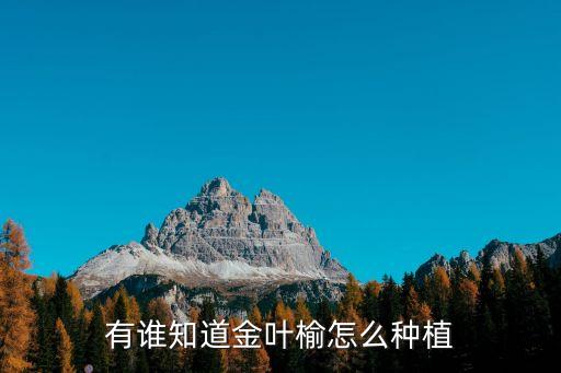 金叶榆树，金叶榆树枝什么颜色