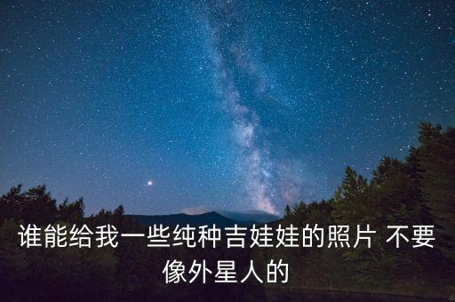谁能给我一些纯种吉娃娃的照片 不要像外星人的