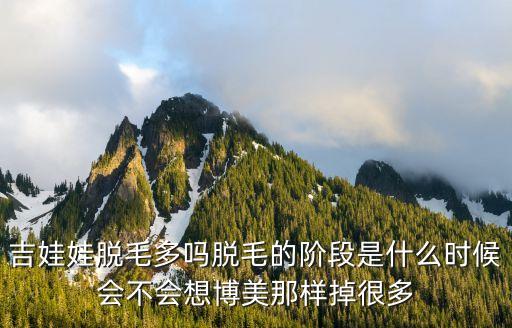 吉娃娃掉毛吗，吉娃娃掉毛吗