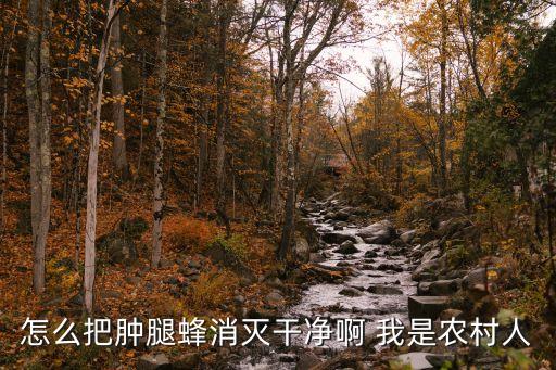 怎么把肿腿蜂消灭干净啊 我是农村人