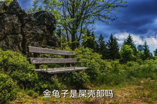 金龟子，金龟子算什么纲
