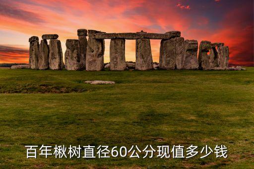 百年楸树直径60公分现值多少钱