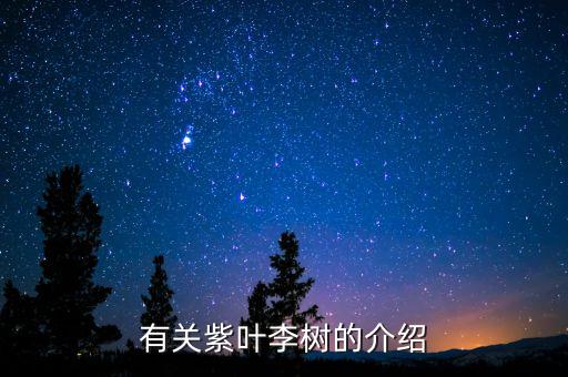 有关紫叶李树的介绍