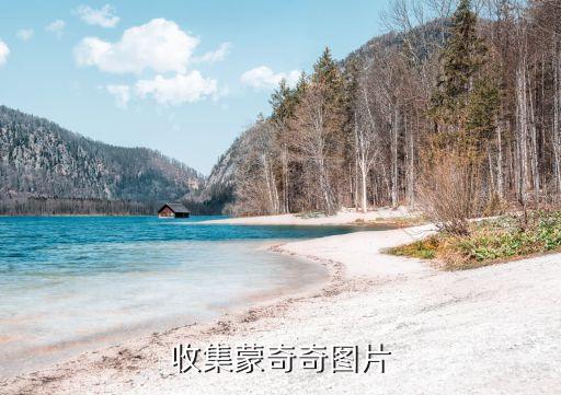收集蒙奇奇图片