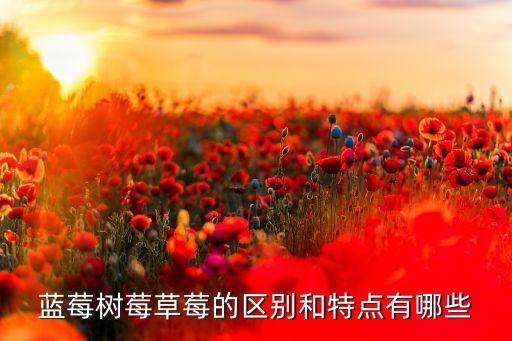 蓝莓树莓草莓的区别和特点有哪些