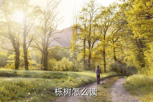 栎属，栎字五行属什么