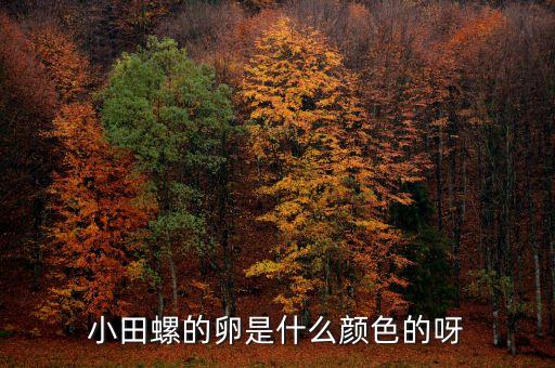 田螺的卵，田螺的卵能吃吗