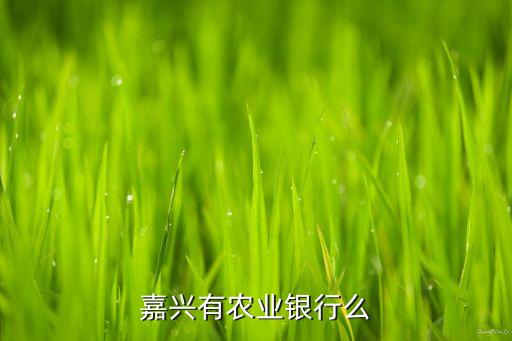 嘉兴有农业银行么
