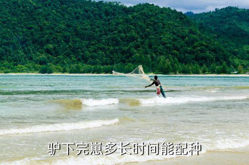 驴下完崽多长时间能配种