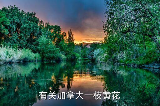 有关加拿大一枝黄花