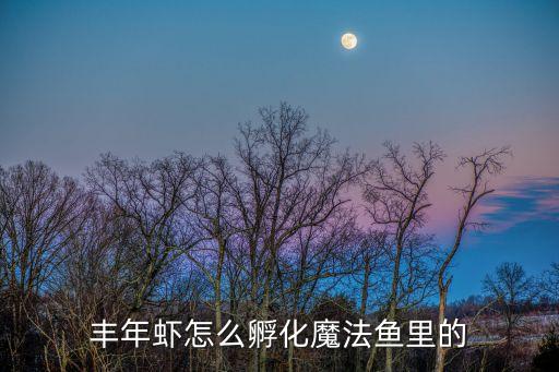 丰年虾孵化，怎么孵化丰年虾卵