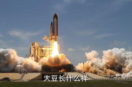 大豆是什么豆图片，黄豆和黄大豆有什么区别呢
