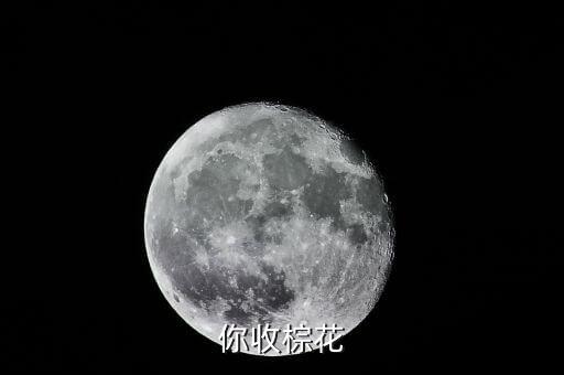 棕花，你收棕花