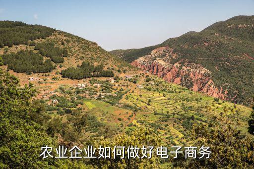 农业企业如何做好电子商务