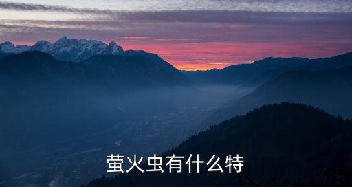 萤火虫有什么特