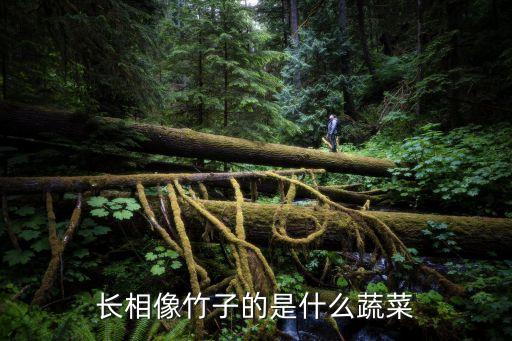 空菜，长相像竹子的是什么蔬菜
