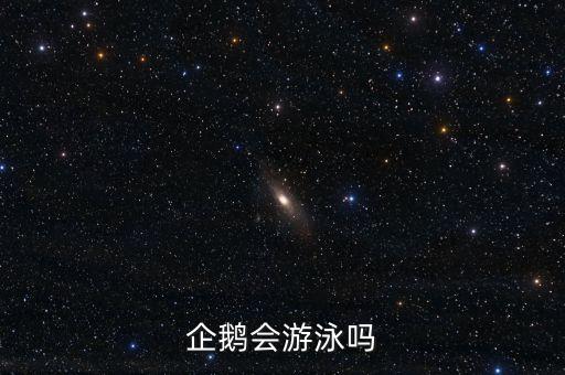 企鹅会游泳吗，企鹅一出生就会游泳吗
