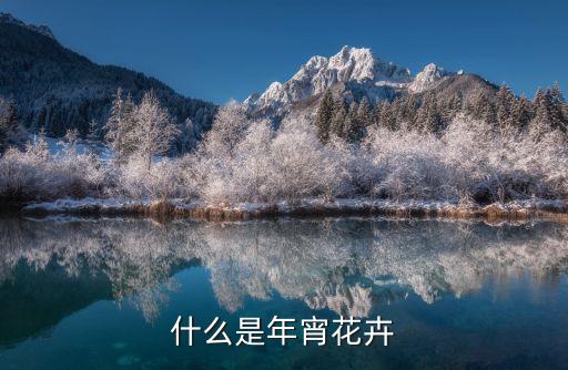 什么是年宵花卉
