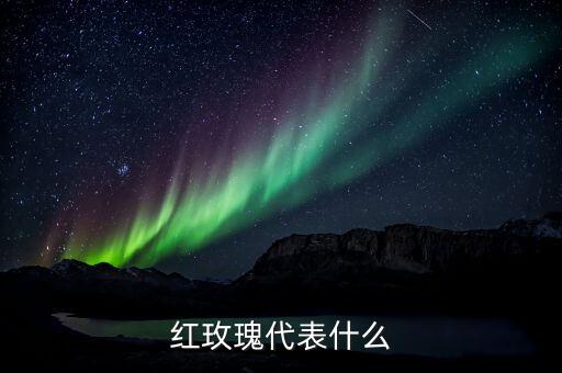 红玫瑰代表什么