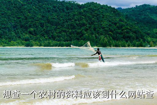 想查一个农村的资料应该到什么网站查