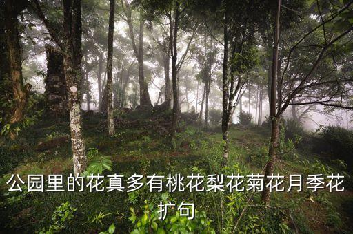 公园里的花真多有桃花梨花菊花月季花扩句