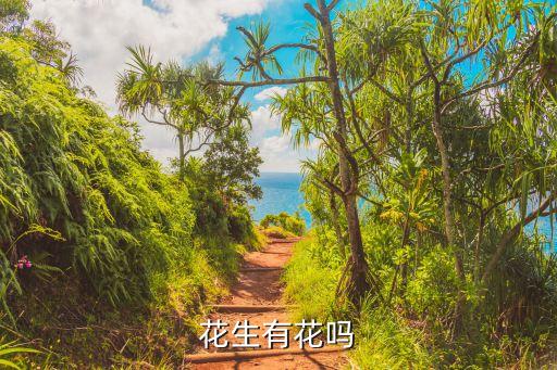 花生花，花生花是什么样的