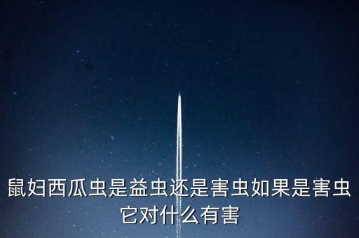 鼠妇西瓜虫是益虫还是害虫如果是害虫它对什么有害