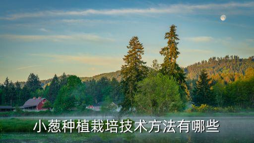 小葱的种植方法，小葱的种植方法