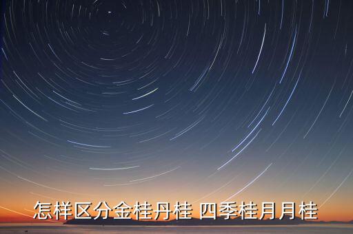 怎样区分金桂丹桂 四季桂月月桂