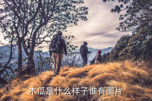 木瓜是什么样子谁有图片