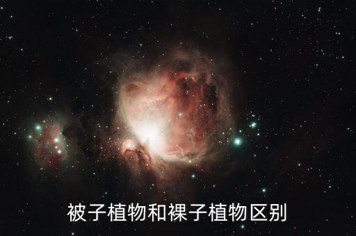 裸子植物被子植物区别，被子植物和裸子植物区别
