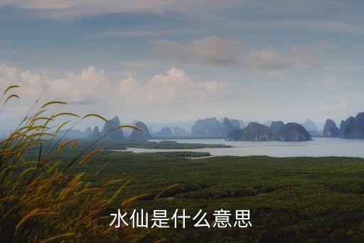 水仙是什么意思，水仙是什么意思