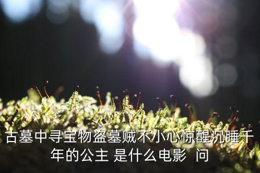 古墓中寻宝物盗墓贼不小心惊醒沉睡千年的公主 是什么电影  问