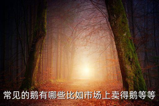 鹅的品种，鹅有多少种类