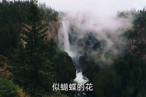 像蝴蝶一样的花，似蝴蝶的花