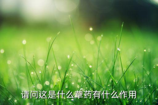 请问这是什么草药有什么作用