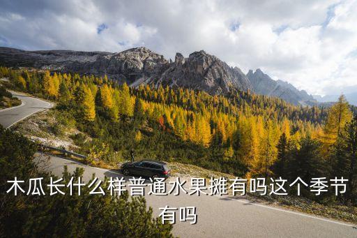 木瓜长什么样普通水果摊有吗这个季节有吗