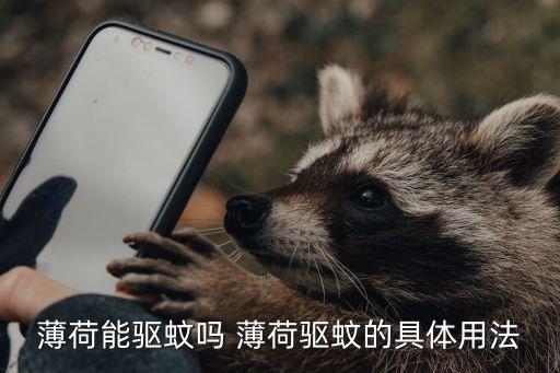 薄荷驱蚊吗，薄荷能熏蚊子吗