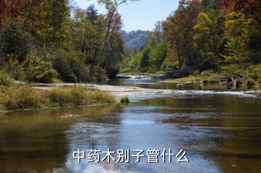 中药木别子管什么