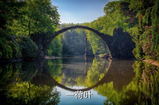 一什么什么荷叶，一什么荷旪一片荷叶还是
