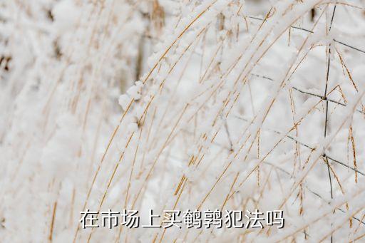 鹌鹑是保护动物吗，属于国家一类保护动物的是A鹌鹑B鲫鱼C野猪